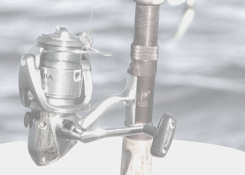 A spinning reel mounted on a rod