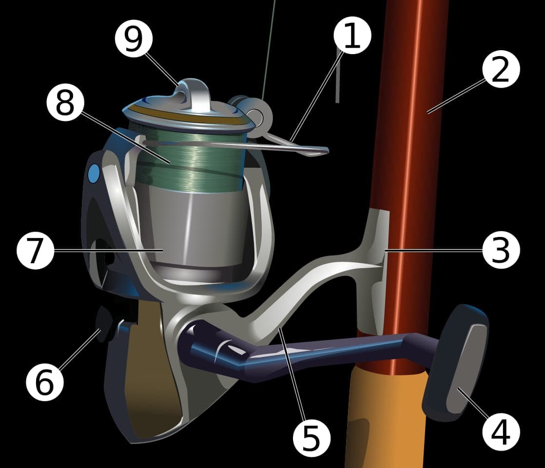 A fishing reel loaded with clear line
