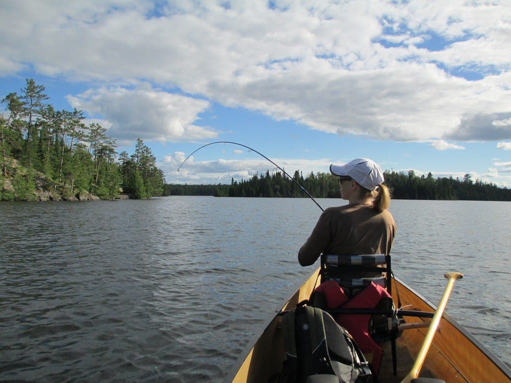 An angler landing a lake trout