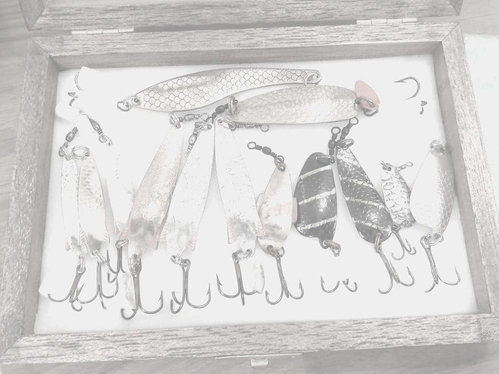 A tray of fishing lures